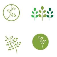 Moringa leaf logo illustration vector design