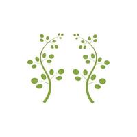 Moringa leaf logo illustration vector design