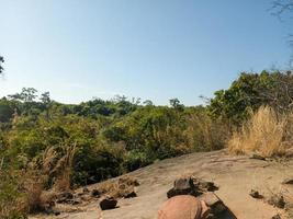 vista desde la alta naturaleza, árboles, hojas, montañas y cielo despejado. foto