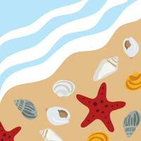 Beach wallpaper background with shells and starfish. vector