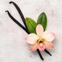 Dried vanilla sticks and orchid flower set up on white concrete background. photo