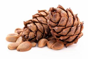 Close up pine nuts and pine cone isolated on white background. photo