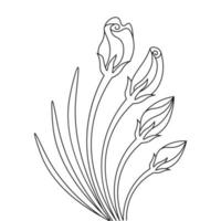 hibiscus flower bud coloring Page for book line art design vector