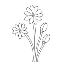 ilustración vectorial página de libro para colorear de flores aislada sobre fondo blanco vector