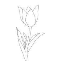 line art design for kids colouring book of flower Vector illustration Coloring page