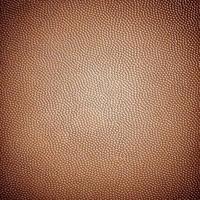 brown  leather dot background photo