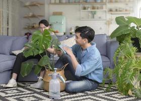 Young smiling gay couple taking care of houseplant in the living room at home, LGBTQ and diversity concept. photo