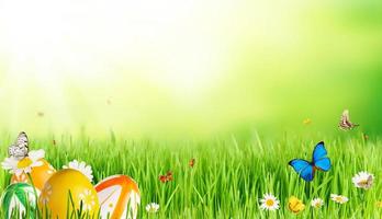 Fresh spring landscape with speckled colored easter eggs and butterflies. Free space for text