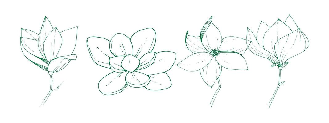 set of flowers vector eps 10