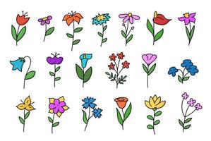 Big set of doodle flowers. Tulip, chamomile, lily, cornflower and others hand drawn in color. Vector illustration isolated on white background.