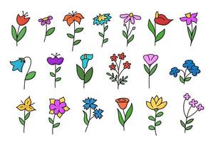 Big set of doodle flowers. Tulip, chamomile, lily, cornflower and others hand drawn in color. Vector illustration isolated on white background.