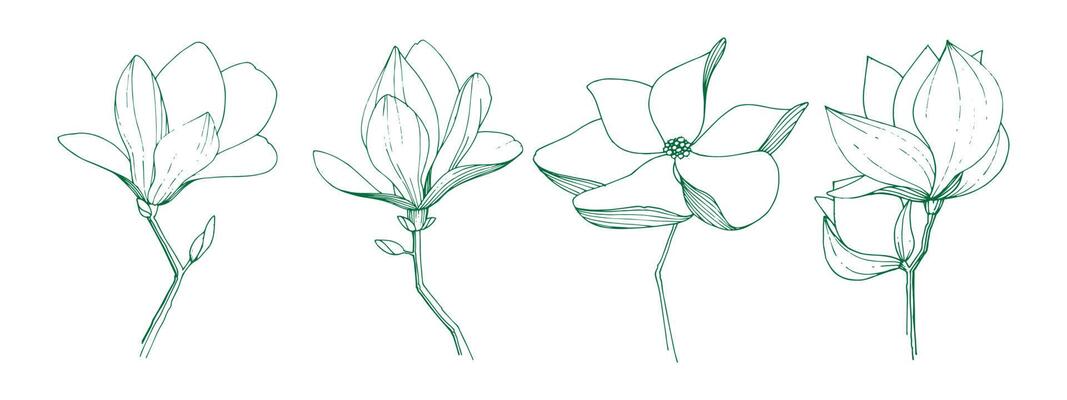 set of flowers vector