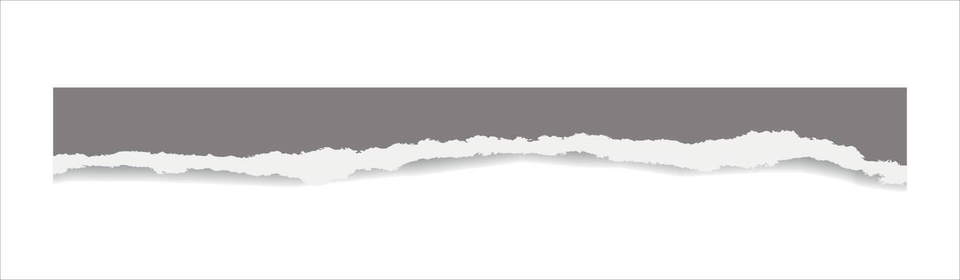 realistic torn paper edges vector