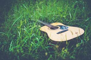 Guitar in the forest Take a guitar to the forest. photo