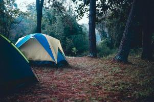 carpas y alojamiento de turistas. dormir en el bosque en invierno y vacaciones de turistas foto