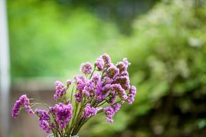 Purple flowers are placed on wooden boards. photo