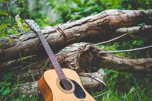 guitarra en el bosque lleva una guitarra al bosque. foto