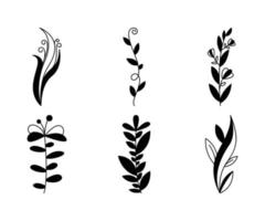 set of flowers and leaves, floral decoration vector