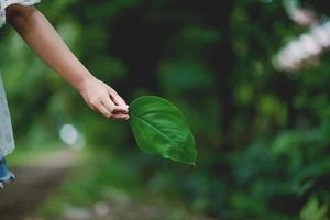 Hands and nature love Bright love Have to give each other Love and beauty in a natural way. photo