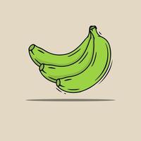 vector de fruta de plátano verde fresco