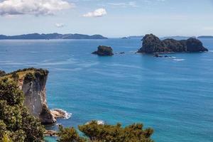 Cathedral Cove beach near Hahei in New Zealand photo