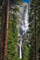 Yosemite Waterfall in summertime photo