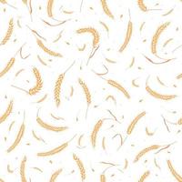 Seamless pattern with whole grain seeds organic, natural ears isolated on white background. vector