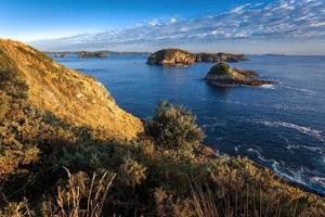 Early morning sunshine along the Coromandel Coastline in New Zealand photo