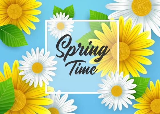 Springtime background with beautiful flowers