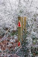 Wooden post with traffic reflectors covered in ivy and hoar frost