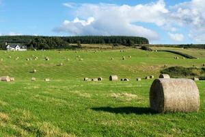 Farm near Culloden photo