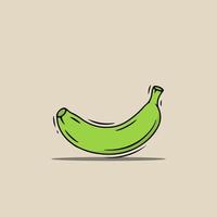 fresh green banana fruit vector