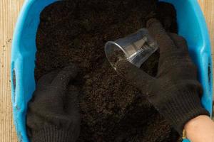 Hands in gloves holding cup to fill it with soil photo