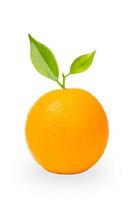 Orange fruit on white background photo