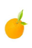Orange fruit on white background photo