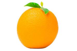 Orange fruit on white background photo