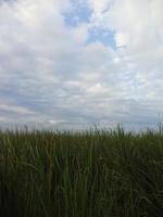 vista de las nubes en la mañana foto