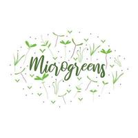 Logo with microgreens. Lettering with microgreens. Lettering with sprouts. Vector illustration in hand drawn style. Frame in the form of an oval with microgreens.