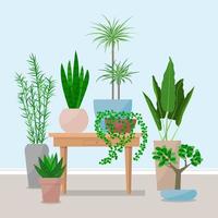 Modern interior of the living room with a coffee table and indoor plants. Flat colorful vector illustration.