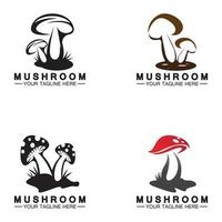 Mushroom Logo Vector Design Template