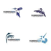 Hummingbird logo design vector template