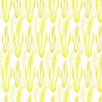 Vector seamless pattern illustration of ears of wheat. Malt beer background. Autumn harvest.