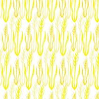 Vector seamless pattern illustration of ears of wheat. Malt beer background. Autumn harvest.