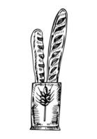 Baguettes pakage simple doodle illustration vector