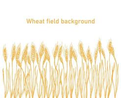 Vector silhouette of wheat. Wheat in a field on a white background