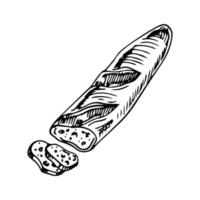 Vector french sliced baguette. Slices and crumbs. White long bread loaf. Rye whole grain baked bread. Logo, icon. sketch realistic line vintage illustration.