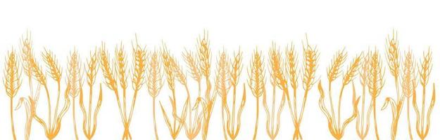 Vector silhouette of wheat. Wheat in the field on a white background