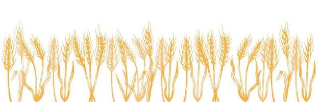 Vector silhouette of wheat. Wheat in the field on a white background