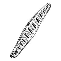 Vector hand drawn doodle sketch baguette bread isolated on white background