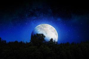 árbol de silueta y luna en el espacio azul. asombrosa exhibición de color azul en el cielo. cielo nocturno de fondo con estrellas, luna y orejetas. la imagen de la luna de incomparable belleza. representación 3d foto